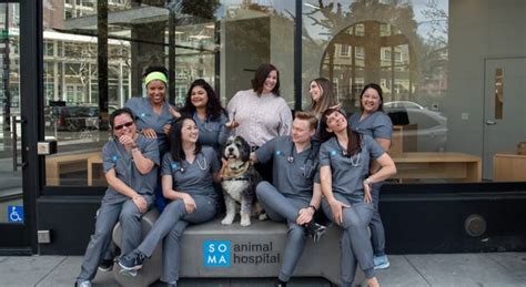 SoMa Animal Hospital (@somaanimalhospital) .